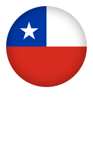 Pointer with Flag Chile