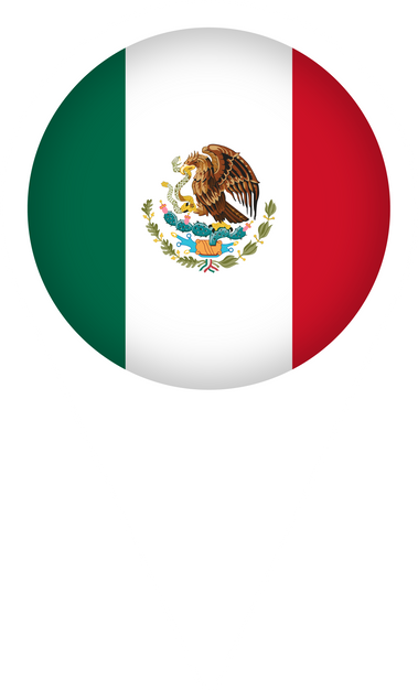 Pointer with Flag Mexico